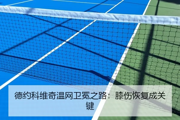 德约科维奇温网卫冕之路：膝伤恢复成关键